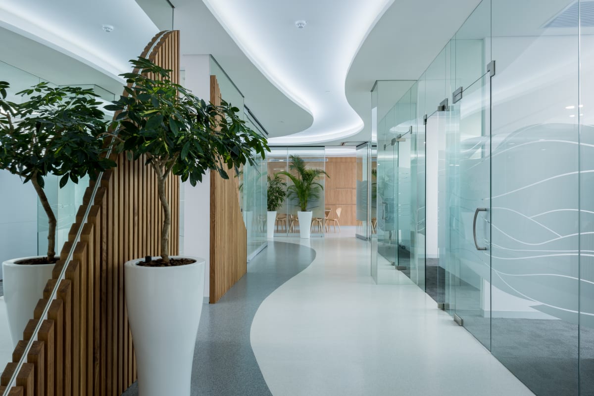 Dental Practice - Image 4