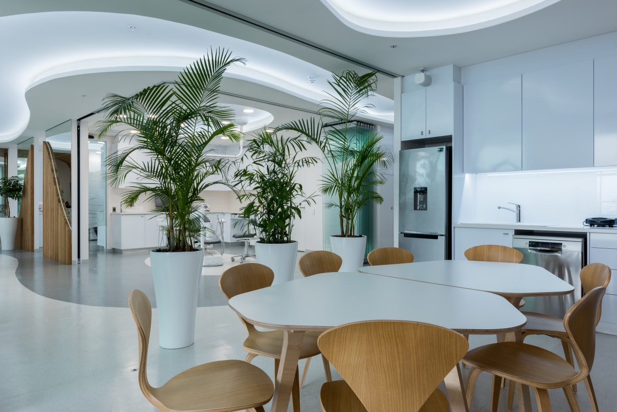 Dental Practice - Image 8