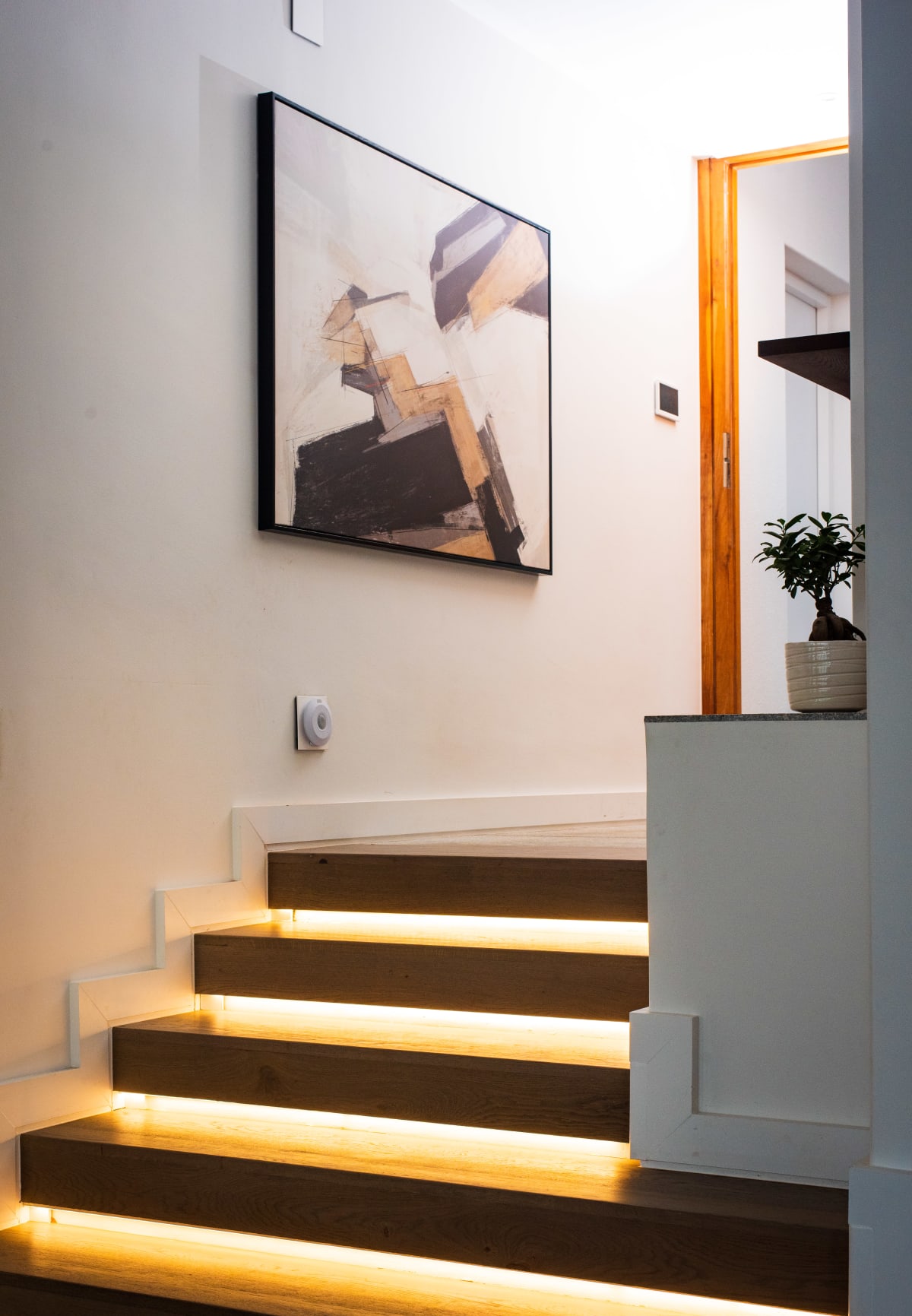 House Moss - Image 5