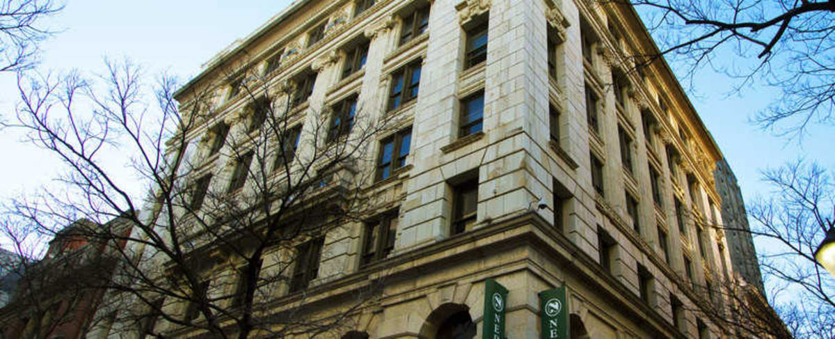 Lion Roars - Image 4