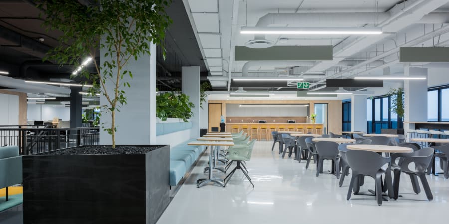 Understanding Your Business Needs