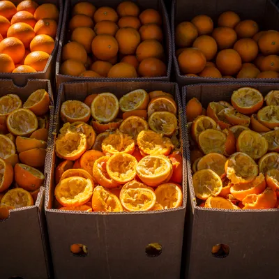 Oranges and juiced orange peel in boxes with the sun sitting them