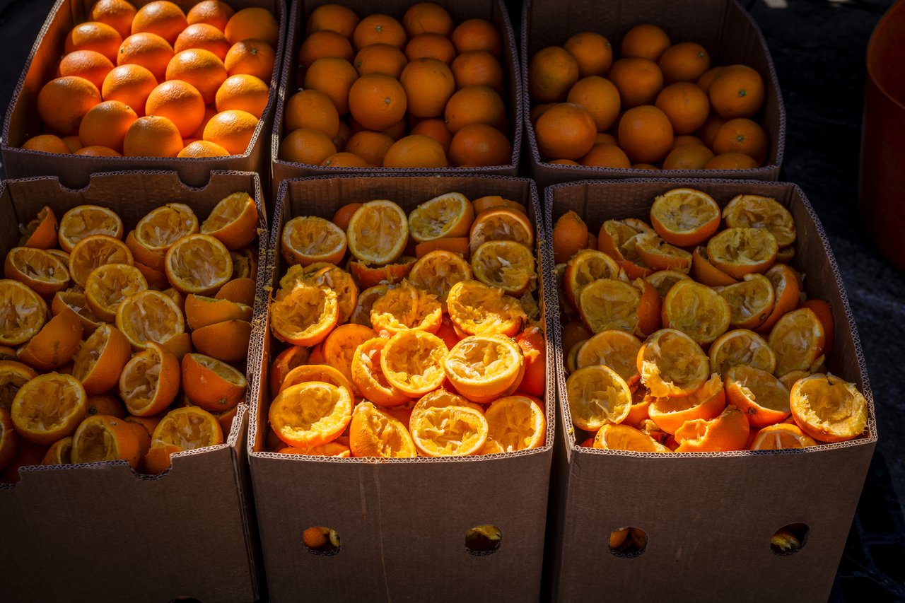 Oranges and juiced orange peel in boxes with the sun sitting them