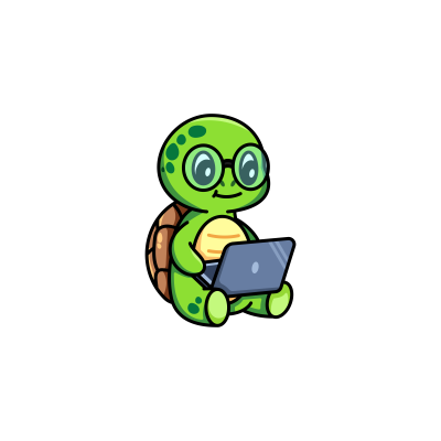 Turtle coding on a laptop
