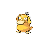 Psyduck Confus