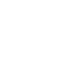 ZELVEX Logo