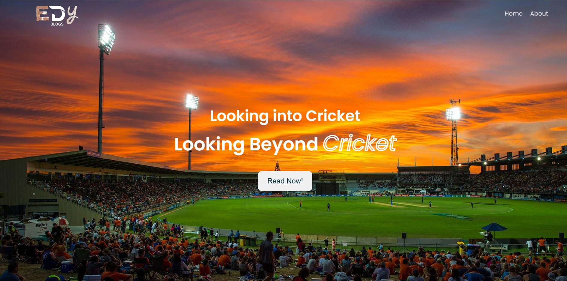 EDY Cricket Blog