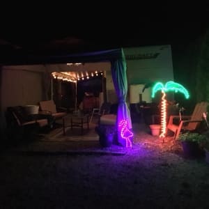 Neon palm tree in front of RV