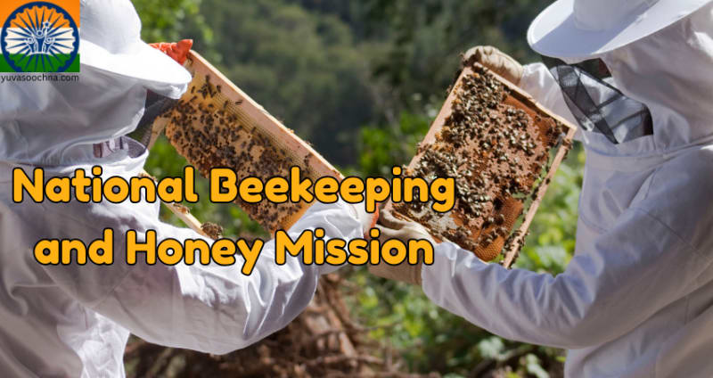 National Beekeeping and Honey Mission