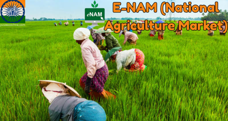 E-Nam (National Agriculture Market)