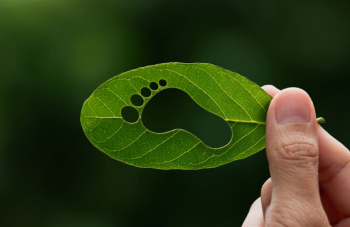 ¿Qué es la huella de carbono y cómo reducirla desde hoy?