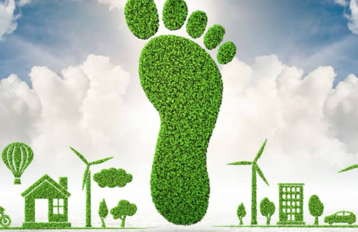 ¿Qué significa compensar tu huella de carbono y cómo puedes
                empezar?