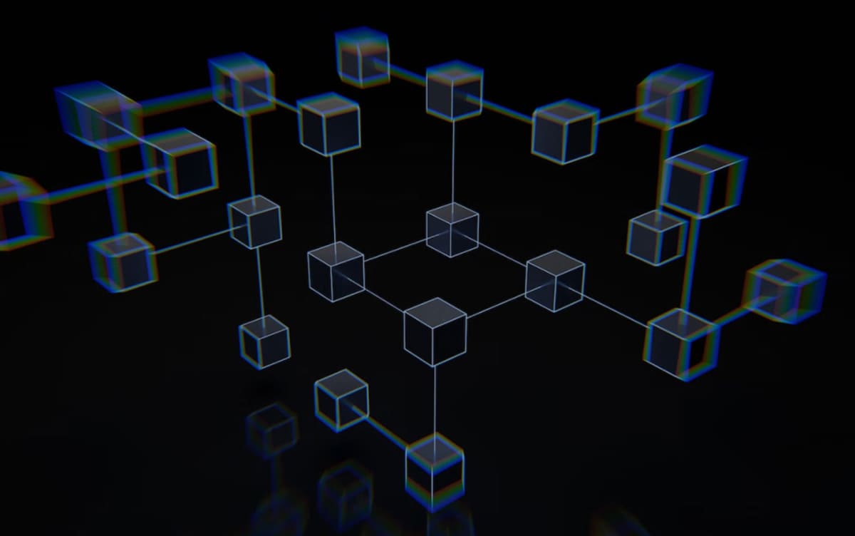 Transparencia y trazabilidad