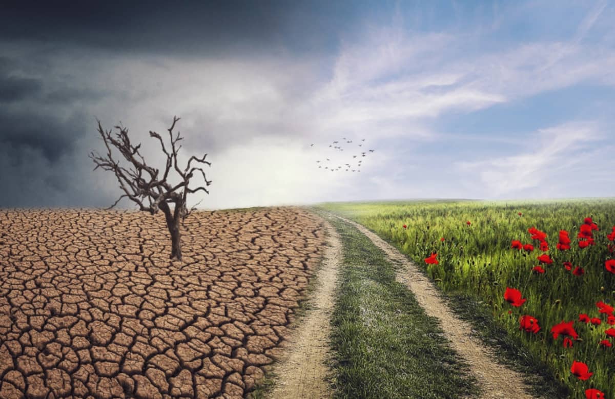 ¿Se justifica usar blockchain para combatir el cambio climático?