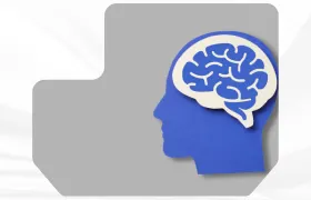 program image