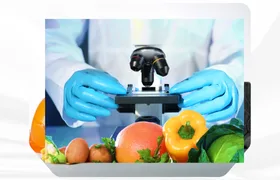 program image