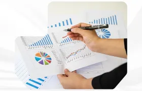 program image