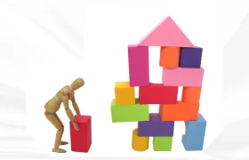 program image