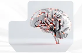 program image