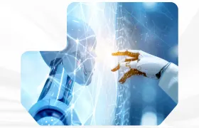program image