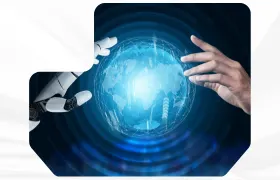 program image