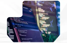 program image