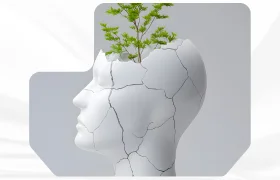 program image