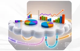 program image