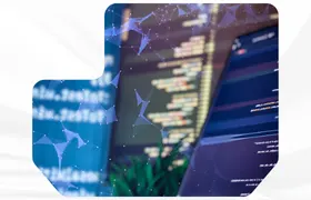 program image