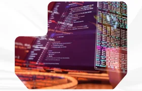 program image