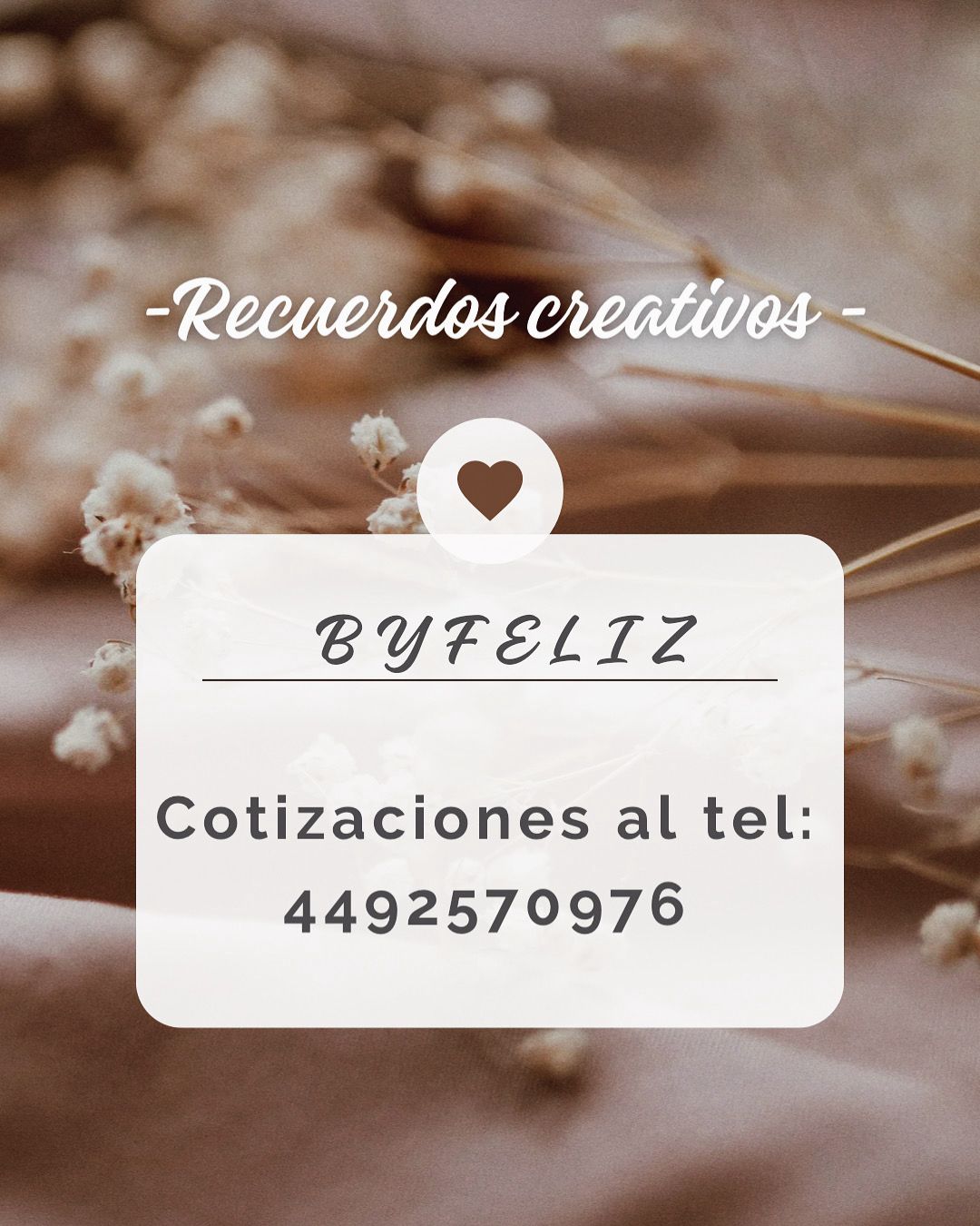 fondo