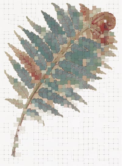 illustration