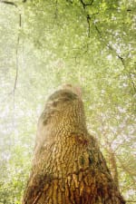 Project image 11