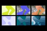 Project image 19