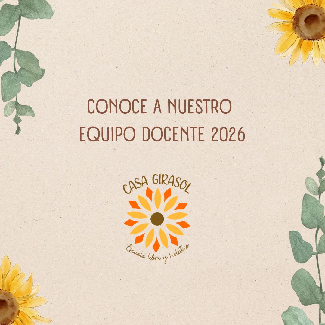 Equipo Docente2026
