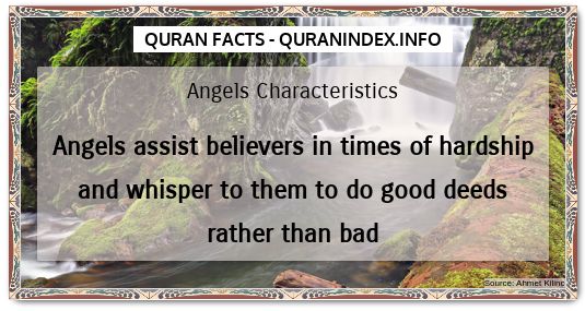 Discover Amazing, Interesting and Beautiful General Quran #Quotes and #Facts @ https://quranindex.info/blog/ [259] #Quran #Islam