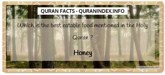 Discover Amazing, Interesting and Beautiful  Quran #Quotes and #Facts @ https://quranindex.info/blog/ [15] #Quran #Islam
