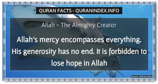 Discover Amazing, Interesting and Beautiful General Quran #Quotes and #Facts @ https://quranindex.info/blog/ [182] #Quran #Islam