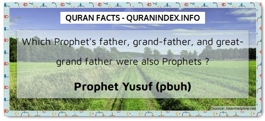 Discover Amazing, Interesting and Beautiful General Quran #Quotes and #Facts @ https://quranindex.info/blog/ [408] #Quran #Islam
