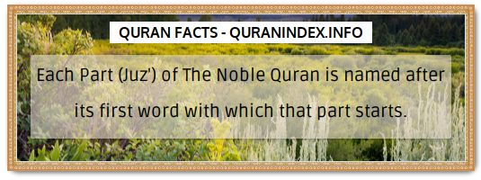 Discover Amazing, Interesting and Beautiful General Quran #Quotes and #Facts @ https://quranindex.info/blog/ [451] #Quran #Islam