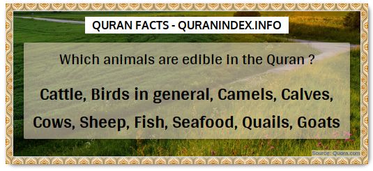 Discover Amazing, Interesting and Beautiful General Quran #Quotes and #Facts @ https://quranindex.info/blog/ [502] #Quran #Islam