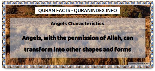 Discover Amazing, Interesting and Beautiful General Quran #Quotes and #Facts @ https://quranindex.info/blog/ [253] #Quran #Islam