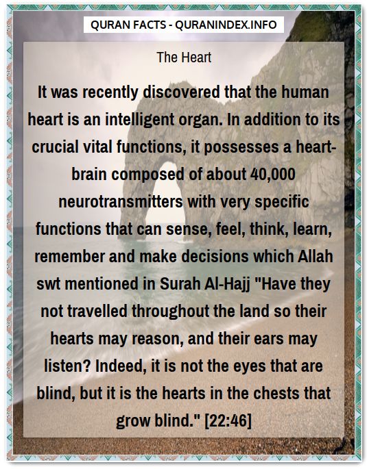 Discover Amazing, Interesting and Beautiful Scientific Quran #Quotes and #Facts @ https://quranindex.info/blog/ [530] #Quran #Islam