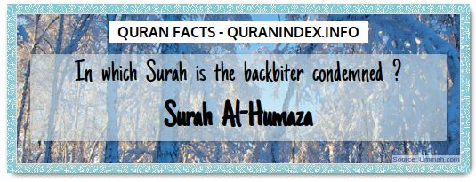 Discover Amazing, Interesting and Beautiful  Quran #Quotes and #Facts @ https://quranindex.info/blog/ [42] #Quran #Islam