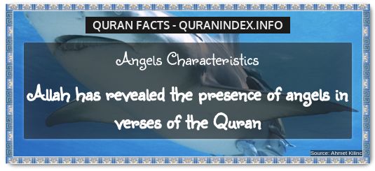 Discover Amazing, Interesting and Beautiful General Quran #Quotes and #Facts @ https://quranindex.info/blog/ [254] #Quran #Islam