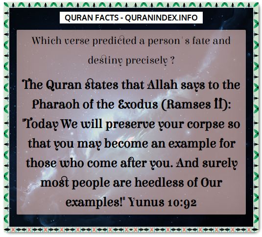 Discover Amazing, Interesting and Beautiful Historical Quran #Quotes and #Facts @ https://quranindex.info/blog/ [461] #Quran #Islam