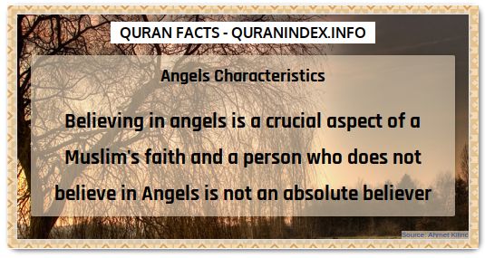 Discover Amazing, Interesting and Beautiful General Quran #Quotes and #Facts @ https://quranindex.info/blog/ [256] #Quran #Islam