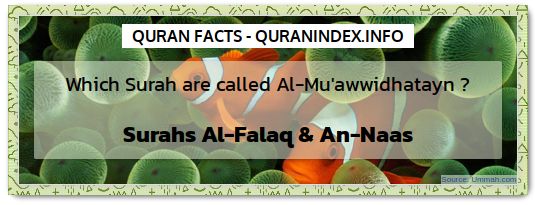 Discover Amazing, Interesting and Beautiful  Quran #Quotes and #Facts @ https://quranindex.info/blog/ [45] #Quran #Islam