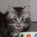 issy.hiroto