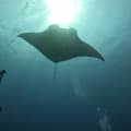 kaichi_divinglog